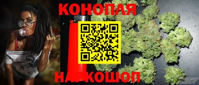 сатива Нягань