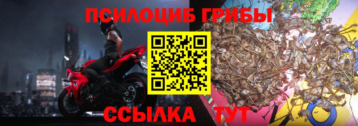 Галлюциногенные грибы Psilocybine cubensis  Вход с VPN  Россошь 
